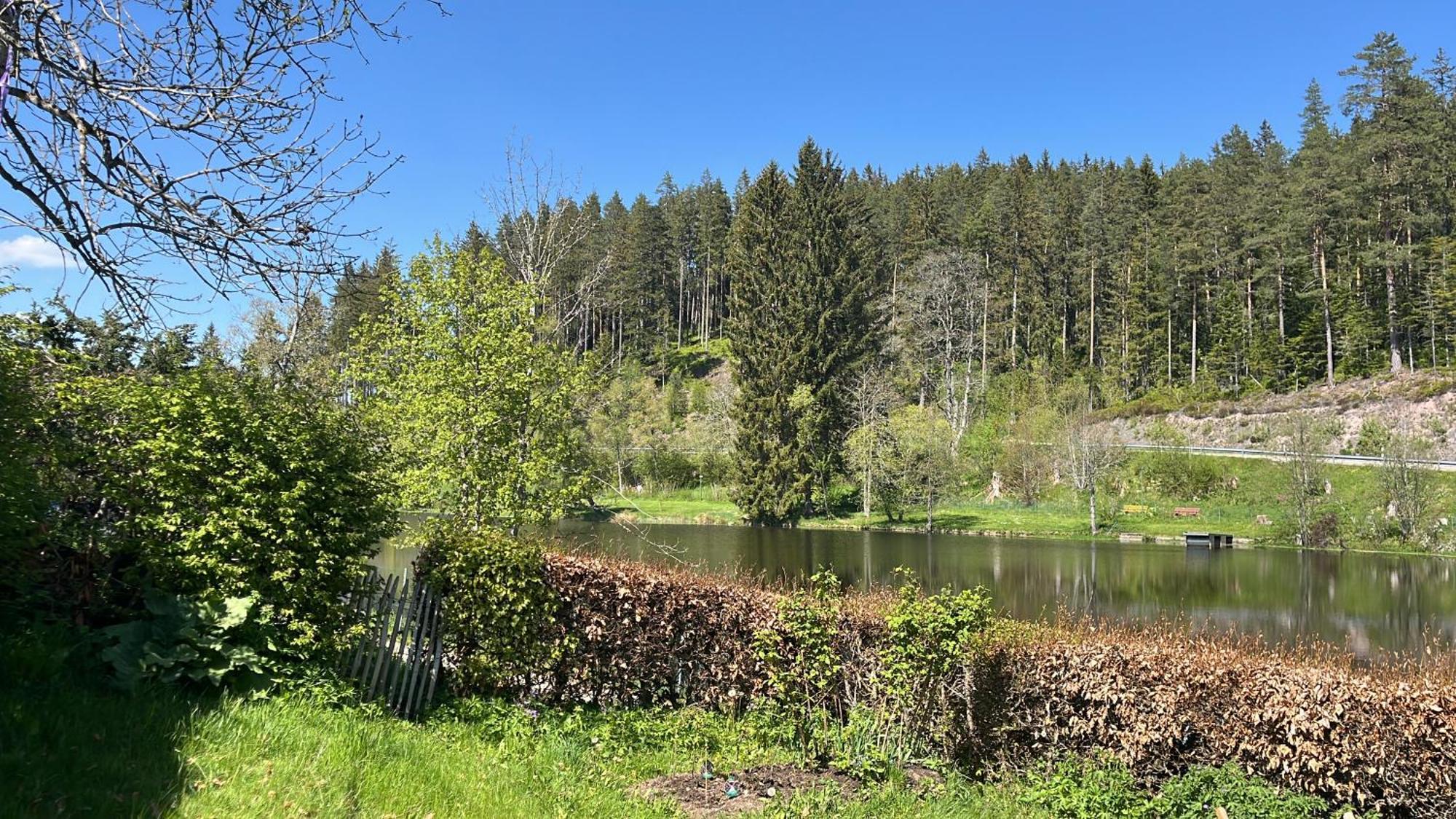Haus Am See - Natur Pur Friedenweiler Exteriör bild