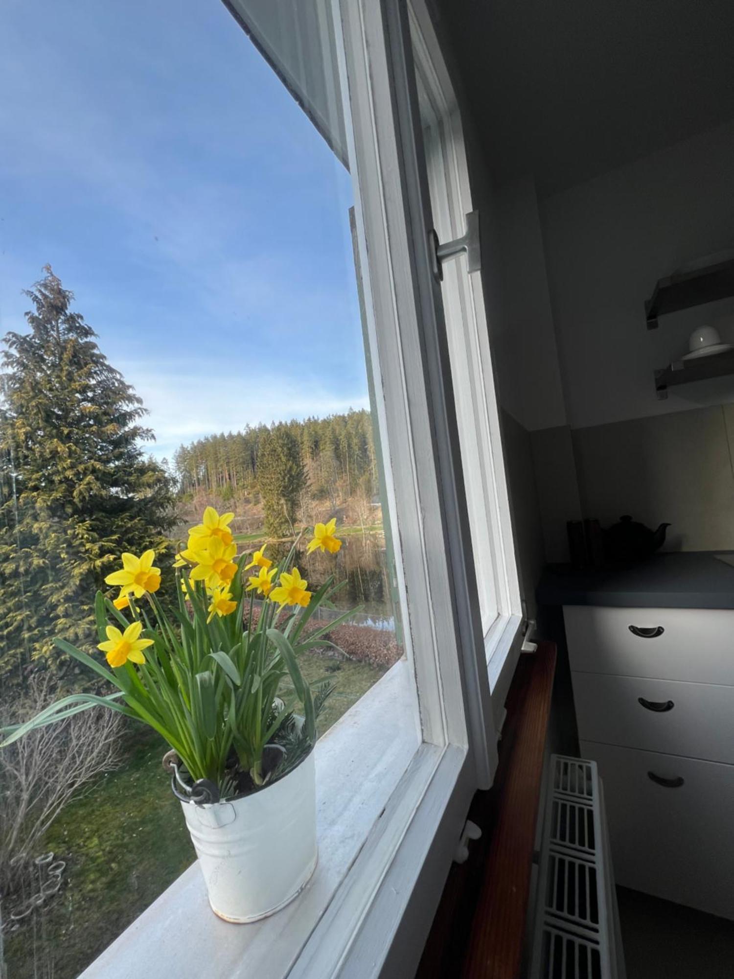 Haus Am See - Natur Pur Friedenweiler Exteriör bild