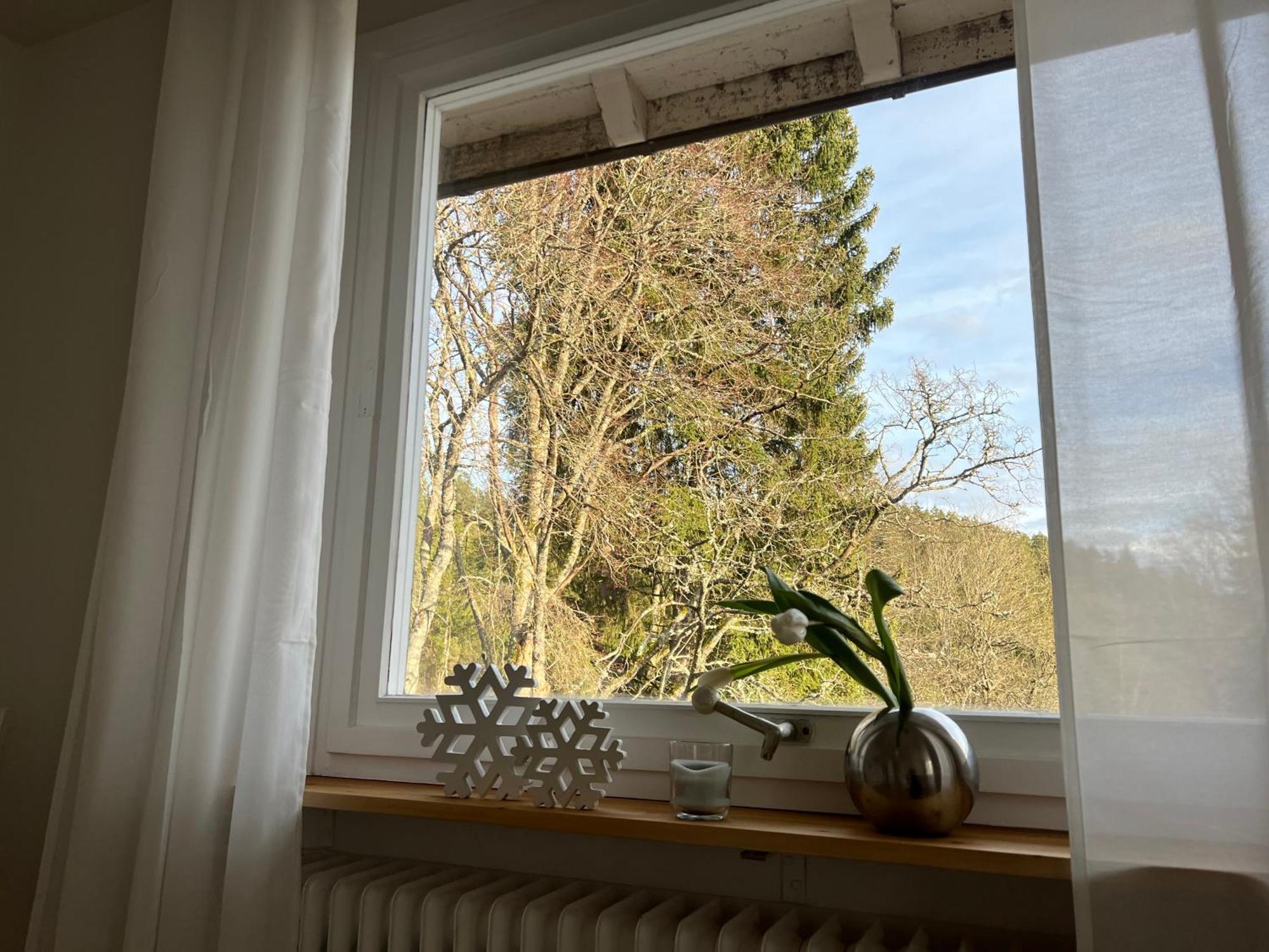 Haus Am See - Natur Pur Friedenweiler Exteriör bild