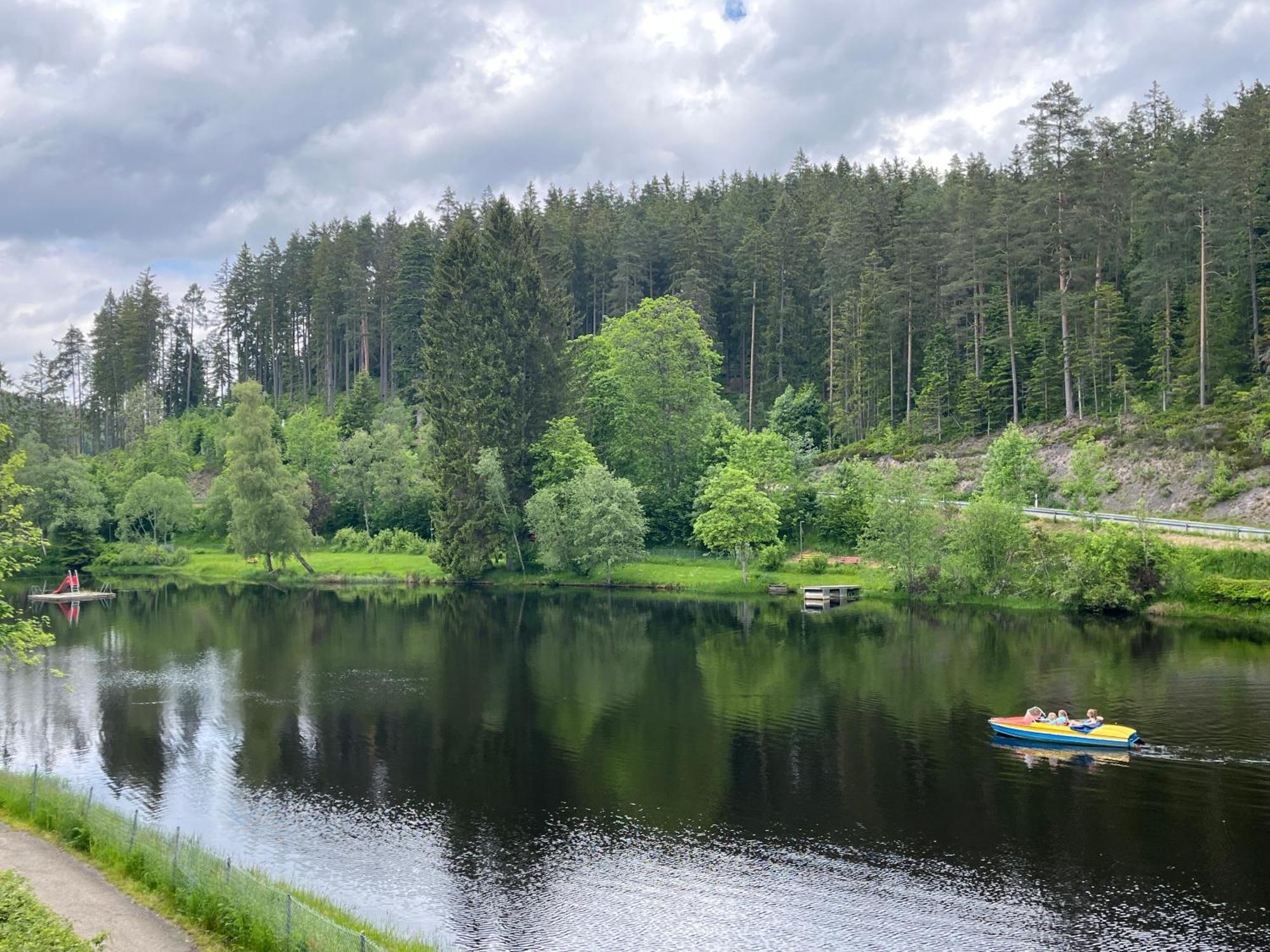 Haus Am See - Natur Pur Friedenweiler Exteriör bild