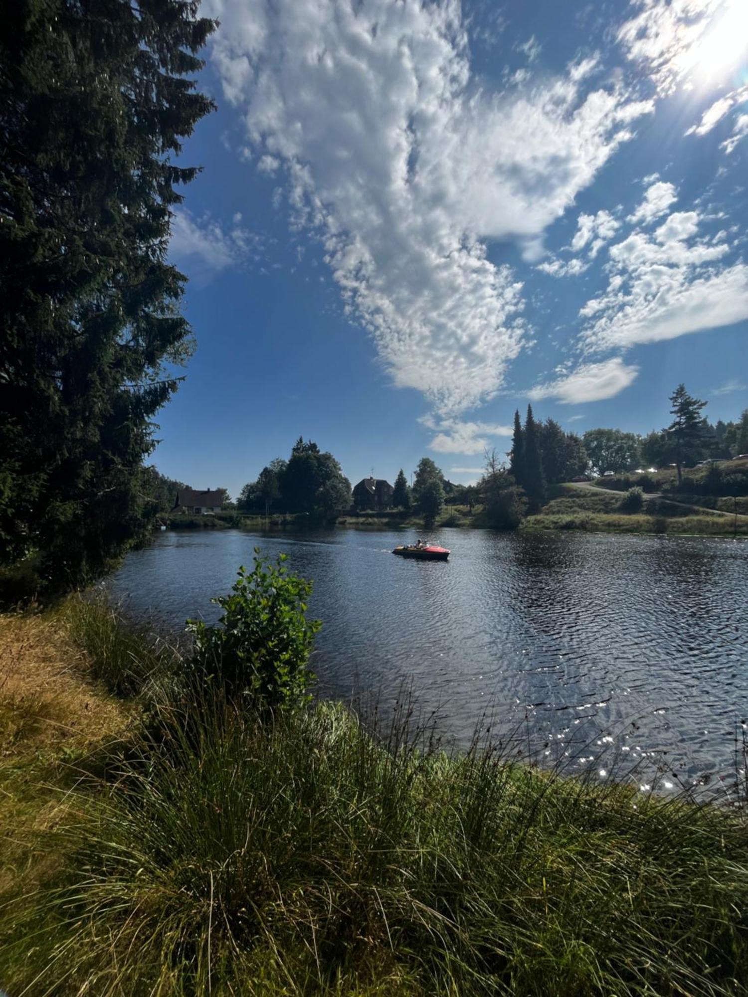 Haus Am See - Natur Pur Friedenweiler Exteriör bild