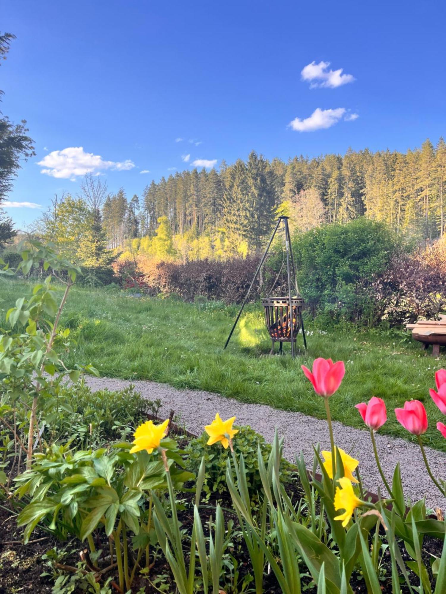 Haus Am See - Natur Pur Friedenweiler Exteriör bild