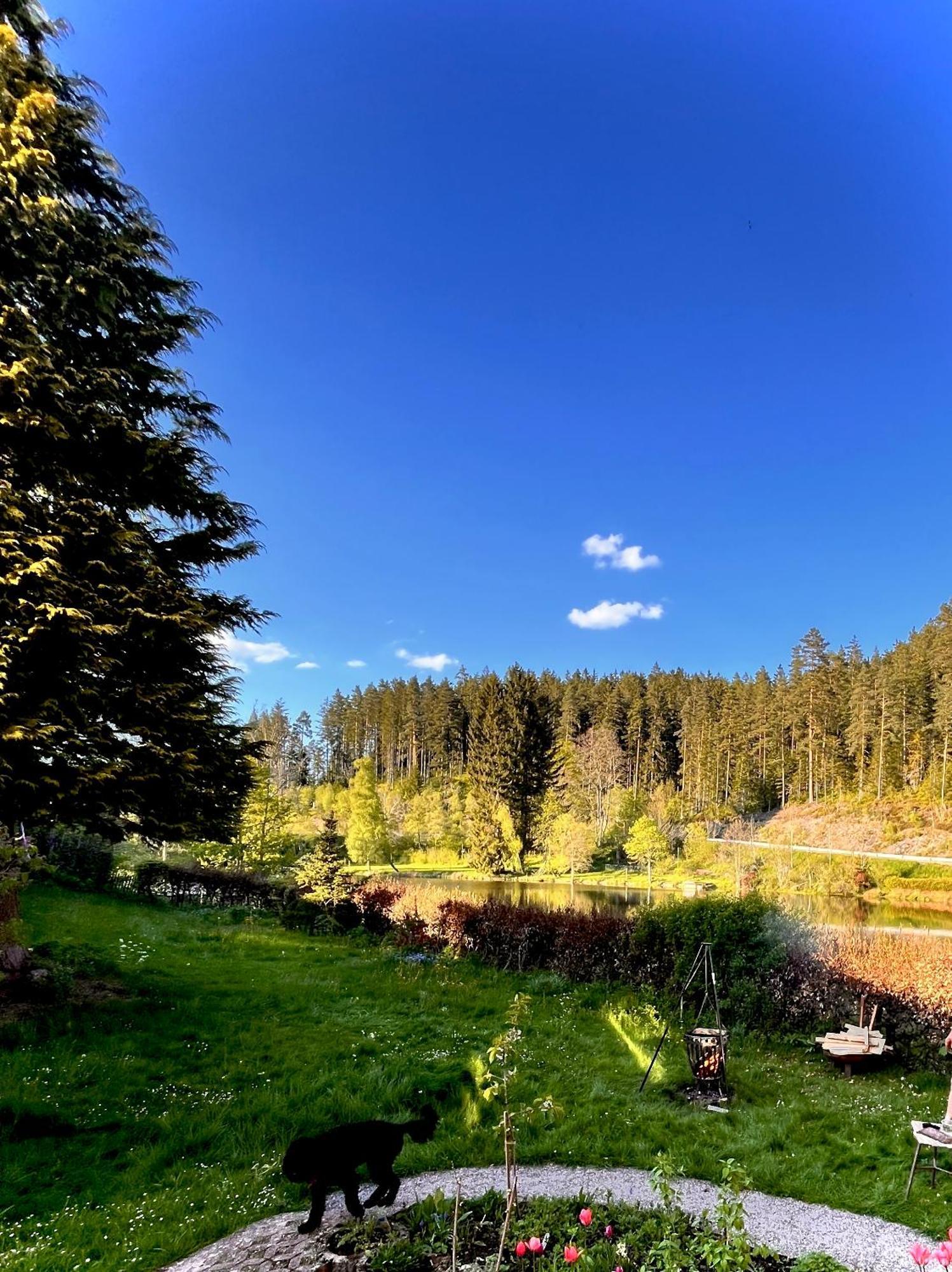 Haus Am See - Natur Pur Friedenweiler Exteriör bild